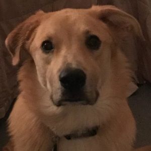 Meet your Posher, Mara